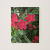 Red Jatropha Flowers Puzzle (Vertikal)