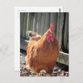 Red Jigsaw Postkarte (Vorne/Hinten)