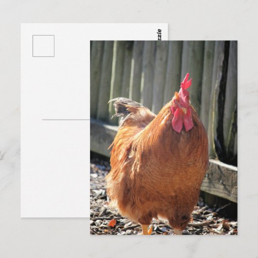 Red Jigsaw Postkarte (Vorne/Hinten)