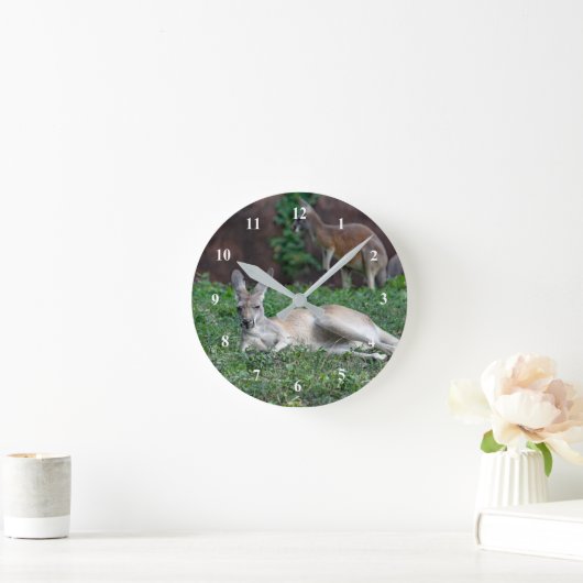 Red Kangaroo 6950 Uhr (Zuhause)