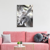 Red Kangaroo Leinwanddruck (Insitu (Wohnzimmer))