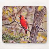 Red Kardinal Bird Art Mouse Pad Mousepad (Vorne)