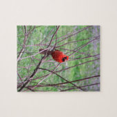 Red Kardinal Bird auf Zweig Puzzle (Horizontal)