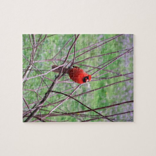Red Kardinal Bird auf Zweig Puzzle (Horizontal)
