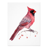 Red Kardinal Bird Fotodruck (Vorne)
