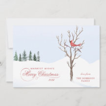 Red Kardinal Bird Frohe WeihnachtenFlat Weihnachts