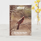 Red Kardinal Bird Funny Belated Birthday Card Karte (Gelbe Blume)