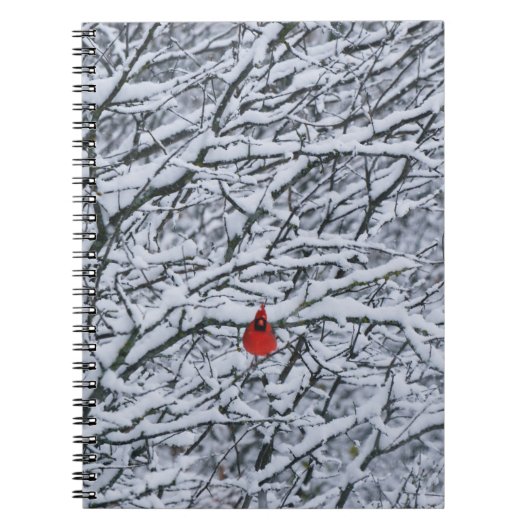 Red Kardinal Bird im Snow Tree Journal Notizblock (Vorderseite)