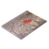 Red Kardinal Bird im Tree Notebook Journal Notizblock (Linke Seite)