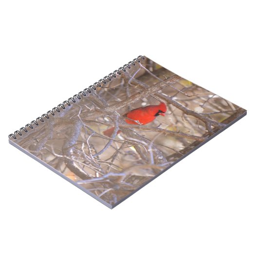 Red Kardinal Bird im Tree Notebook Journal Notizblock (Linke Seite)