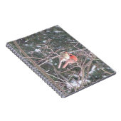 Red Kardinal Bird Notizblock (Rechte Seite)