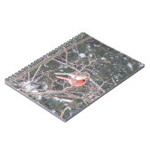 Red Kardinal Bird Notizblock (Linke Seite)