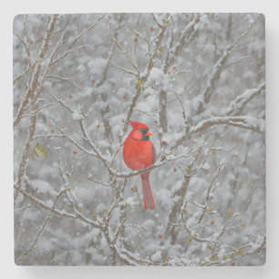 Red Kardinal Bird on Snow Tree Untersetzer