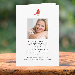 Red Kardinal Bird, Order of Service Beuneral Fotos Programm