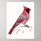 Red Kardinal Bird Poster (Vorne)