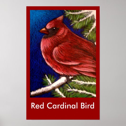 RED KARDINAL BIRD Poster (Vorne)