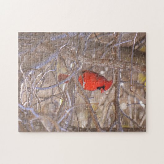 Red Kardinal Bird Puzzle (Horizontal)