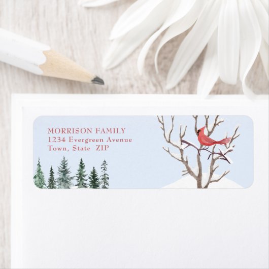 Red Kardinal Bird Snow Rücksendeadresse (Insitu)