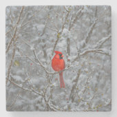 Red Kardinal Bird Snow Untersetzer (Vorderseite)