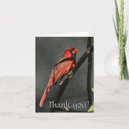 Red Kardinal Bird Vielen Dank Note Card Dankeskarte