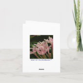 Red Kardinal Bird Vielen Dank Note Card Dankeskarte (Rückseite)