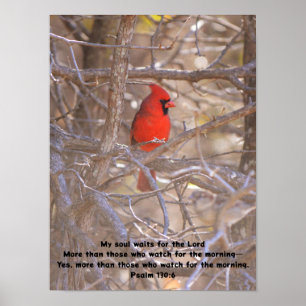 Red Kardinal Bird Wartete friedlich Bibel Verse Poster