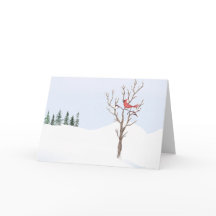 Red Kardinal Bird Weltfrieden Frohe Weihnachten