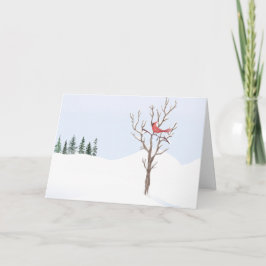 Red Kardinal Bird Weltfrieden Frohe Weihnachten