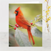 RED KARDINAL BIRTHDAY GREETING CARD KARTE (Gelbe Blume)