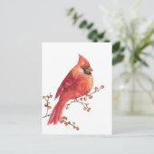Red Kardinal Eating Winter Ilex Berries Postkarte (Stehend Vorderseite)