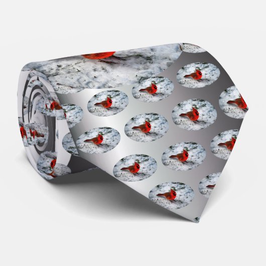 Red Kardinal Feathers and Plumage Krawatte (Gerollt)