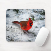 Red Kardinal Feathers and Plumage Mousepad (Mit Mouse)