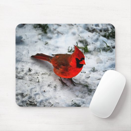 Red Kardinal Feathers and Plumage Mousepad (Mit Mouse)