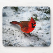 Red Kardinal Feathers and Plumage Mousepad (Vorne)