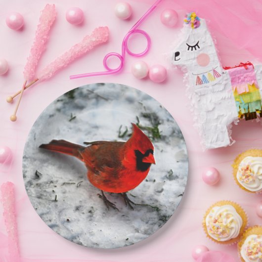 Red Kardinal Feathers and Plumage Pappteller (Party)