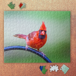 Red Kardinal Foto mit lustigen Ausdrücken Puzzle