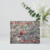 Red Kardinal Messenger aus Heaven Beileid Postca Postkarte (Stehend Vorderseite)