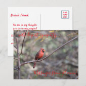 Red Kardinal Messenger aus Heaven Beileid Postca Postkarte (Vorne/Hinten)