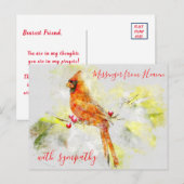 Red Kardinal Messenger von Watercolor aus dem Himm Postkarte (Vorne/Hinten)
