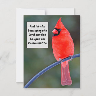 Red Kardinal Note Card Danke Valentines Bird Mitteilungskarte