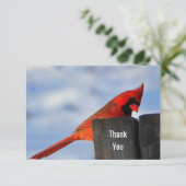 Red Kardinal on Wooden Stump Vielen Dank Dankeskarte (Stehend Vorderseite)