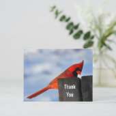 Red Kardinal on Wooden Stump Vielen Dank Postkarte (Stehend Vorderseite)