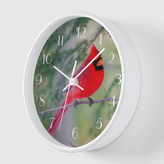Red Kardinal Perch Uhr (Winkel)