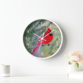 Red Kardinal Perch Uhr