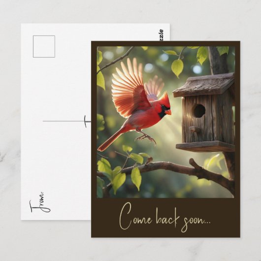 " RED KARDINAL " POSTKARTE (Vorne/Hinten)