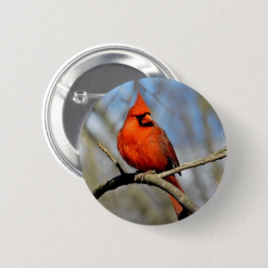 Red Kardinal Profil Button (Vorne & Hinten)
