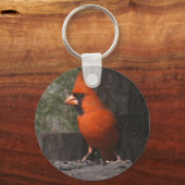 Red Kardinal Schlüsselanhänger (Vorderseite)