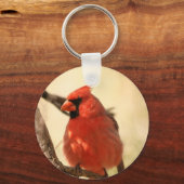 Red Kardinal Schlüsselanhänger (Vorderseite)