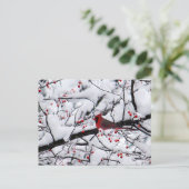 Red Kardinal Snow Tree Foto Weihnachten Postkarte (Stehend Vorderseite)