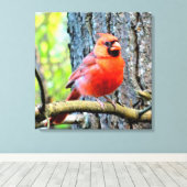 Red Kardinal Summer Square Print Leinwanddruck (Insitu (Holzboden))